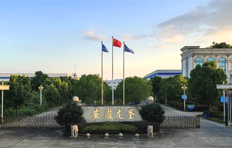 Anhui Longsheng Novum Material Technology Co., Ltd.